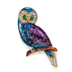 Flash Sale Broche Secret de Chouette Broches | Broches
