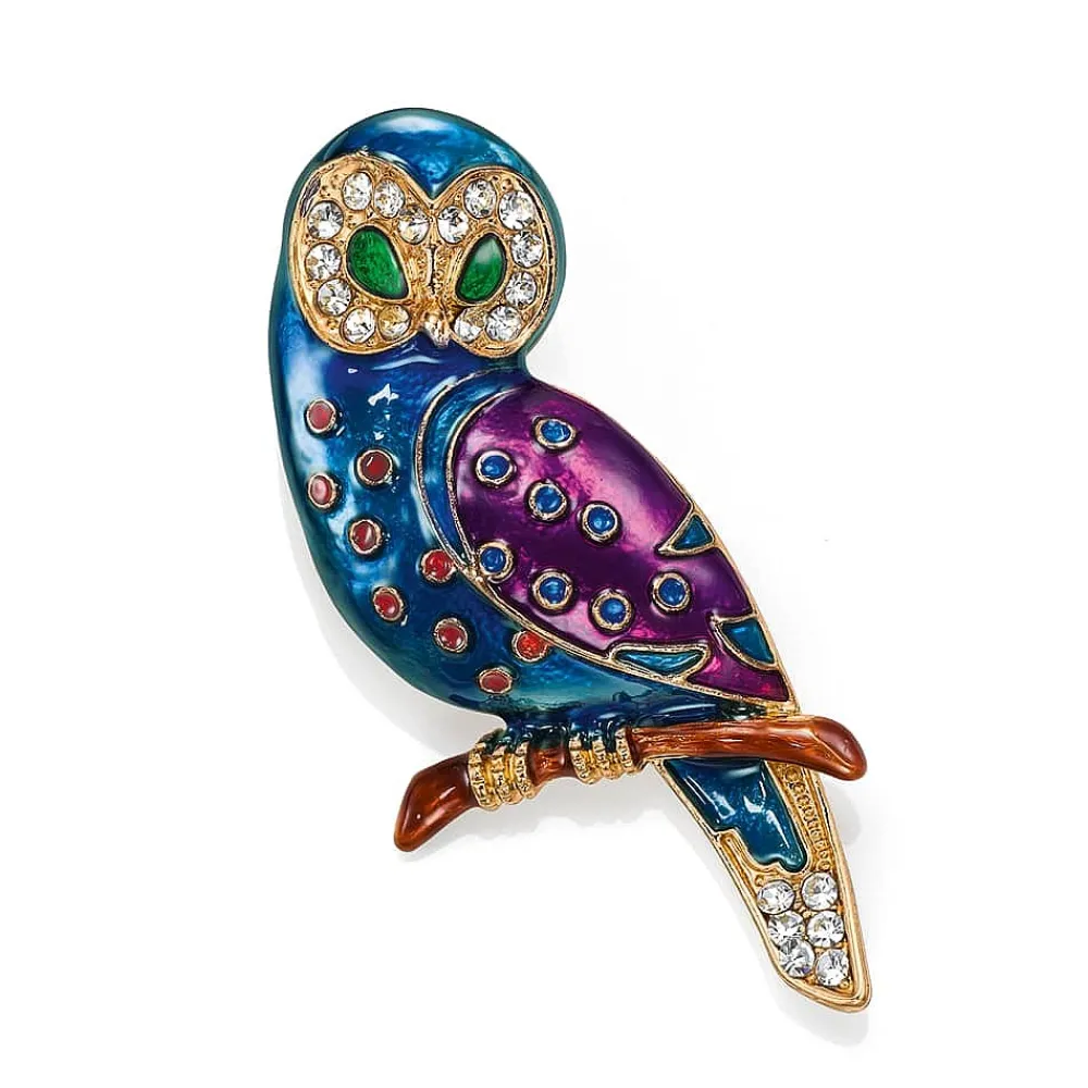 Flash Sale Broche Secret de Chouette Broches | Broches